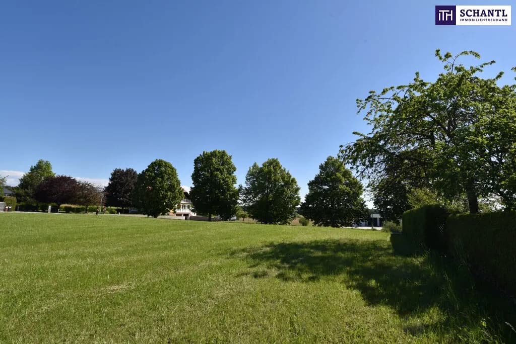 Grundstück kaufen in Hartberg-Fürstenfeld – 3 220 m², € 395.000 – Bild 8 von 25