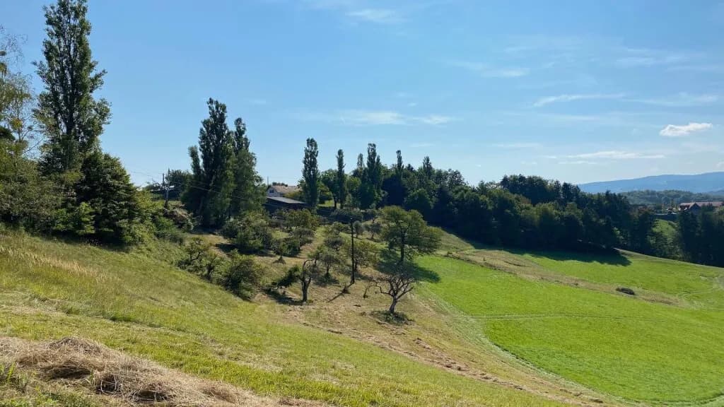 6-Zimmer-Grundstück kaufen in Leibnitz – 125 m², € 599.000 – Bild 3 von 17