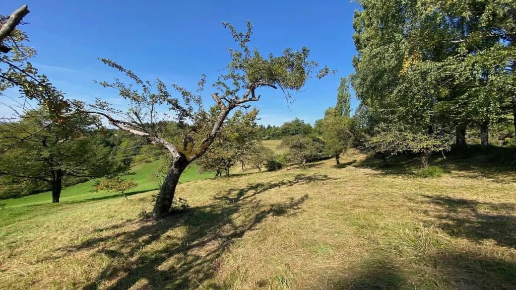 6-Zimmer-Grundstück kaufen in Leibnitz – 125 m², € 599.000 – Bild 17 von 17