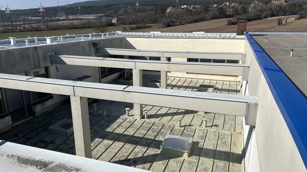 Gewerbeimmobilie kaufen in Wiener Neustadt Land – € 6.000.000 – Bild 14 von 40