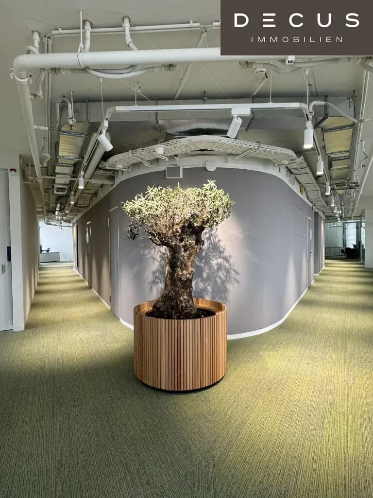 Gewerbeimmobilie mieten in Wien – 1 705 m², € 19 – Bild 10 von 22