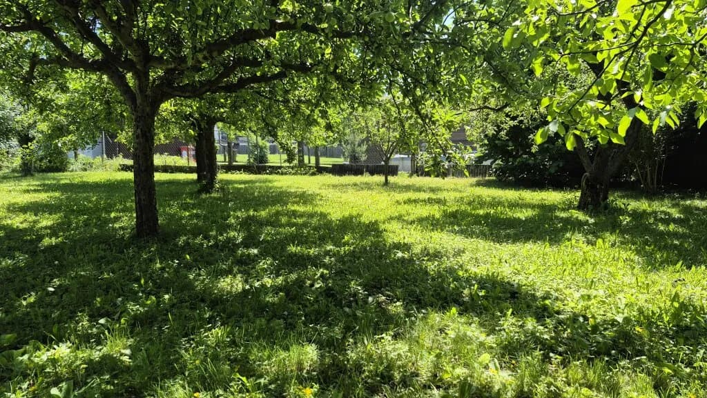 Haus kaufen in Südoststeiermark – 50 m², € 155.000 – Bild 2 von 22