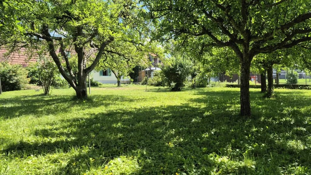 Haus kaufen in Südoststeiermark – 50 m², € 155.000 – Bild 3 von 22