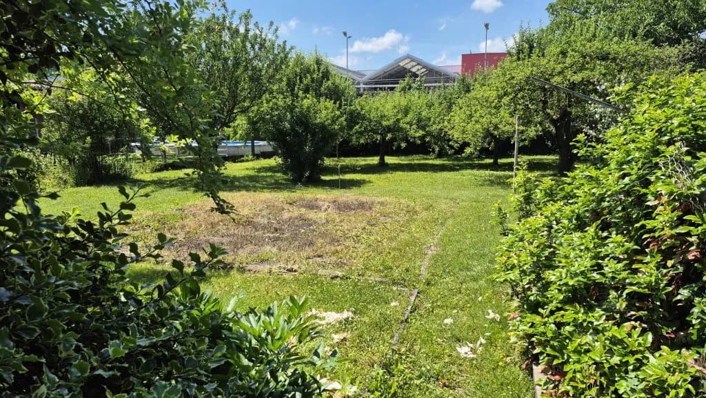 Haus kaufen in Südoststeiermark – 50 m², € 155.000 – Bild 4 von 22