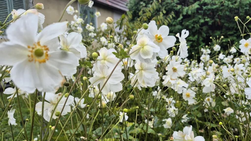 Haus kaufen in Südoststeiermark – 50 m², € 155.000 – Bild 19 von 22