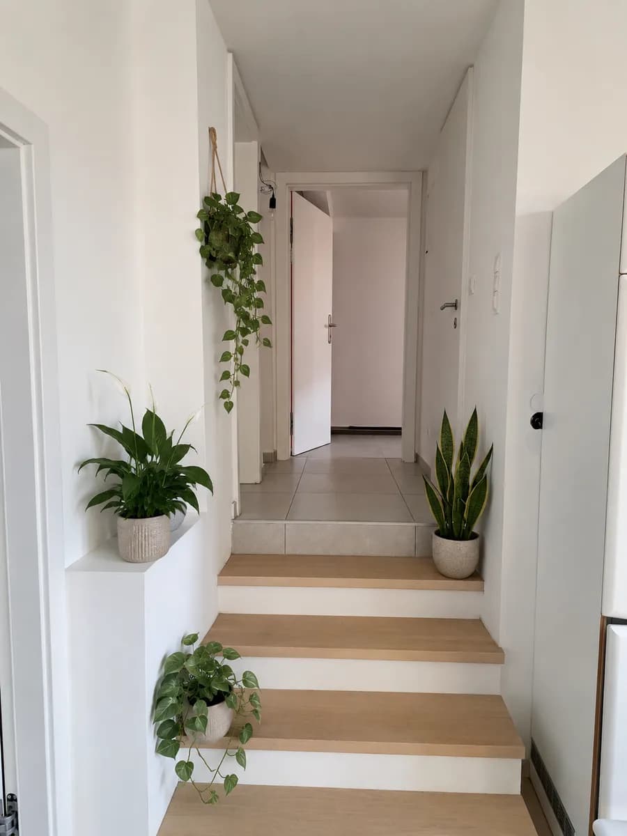 2-Zimmer-Wohnung mieten in Wien – 70 m², € 1.100 – Bild 2 von 7