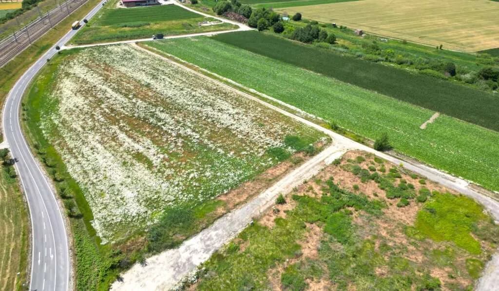 Immobilie kaufen in Tulln – 40 756 m², € 4.890.000 – Bild 2 von 4