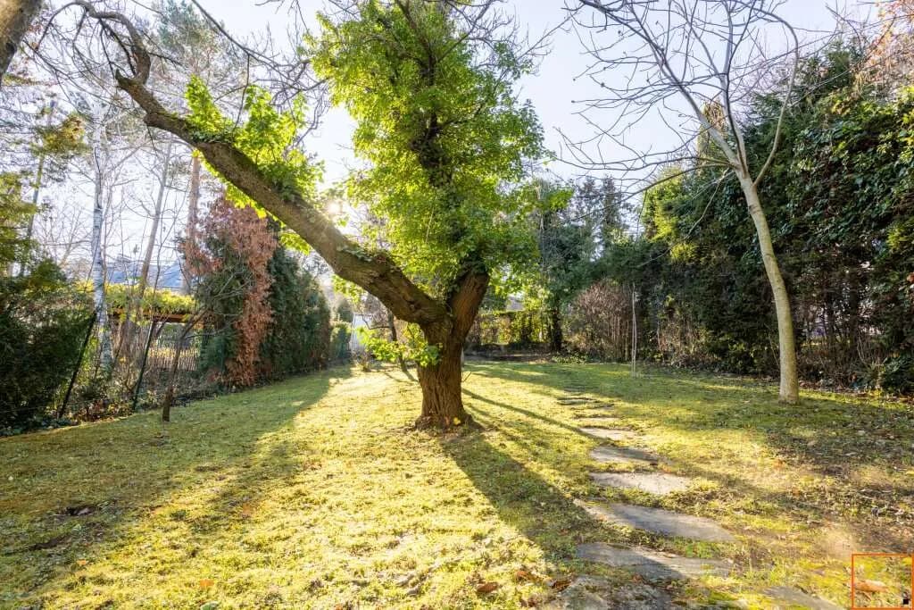 10-Zimmer-Gewerbeimmobilie kaufen in Wien – 351,23 m², € 3.250.000 – Bild 20 von 32