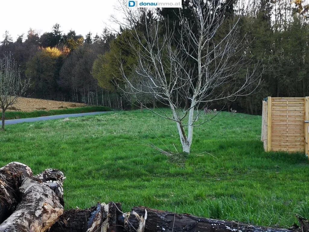 18-Zimmer-Gewerbeimmobilie kaufen in Hartberg-Fürstenfeld – 653 m², € 1.350.000 – Bild 33 von 41