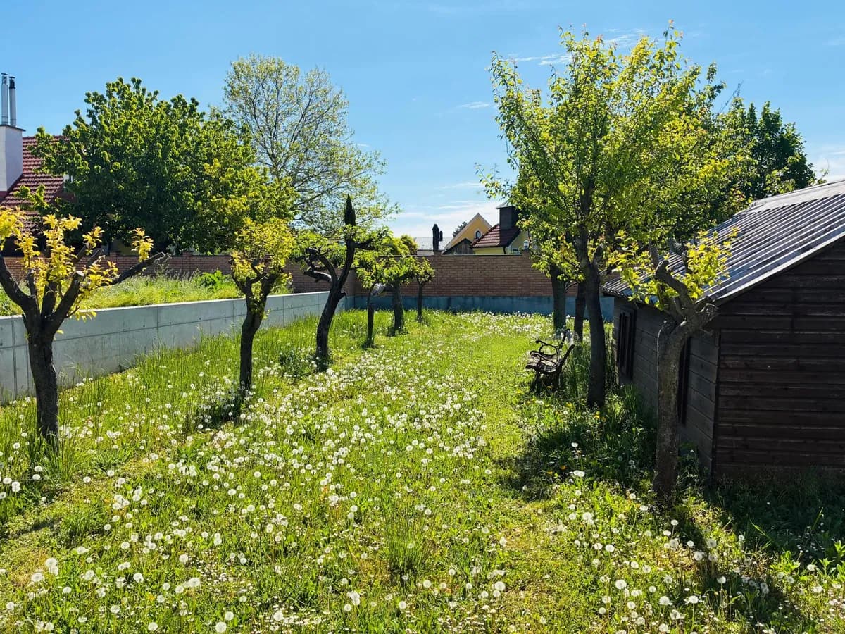 Grundstück kaufen in Neusiedl am See – 810 m², € 398.000 – Bild 14 von 16