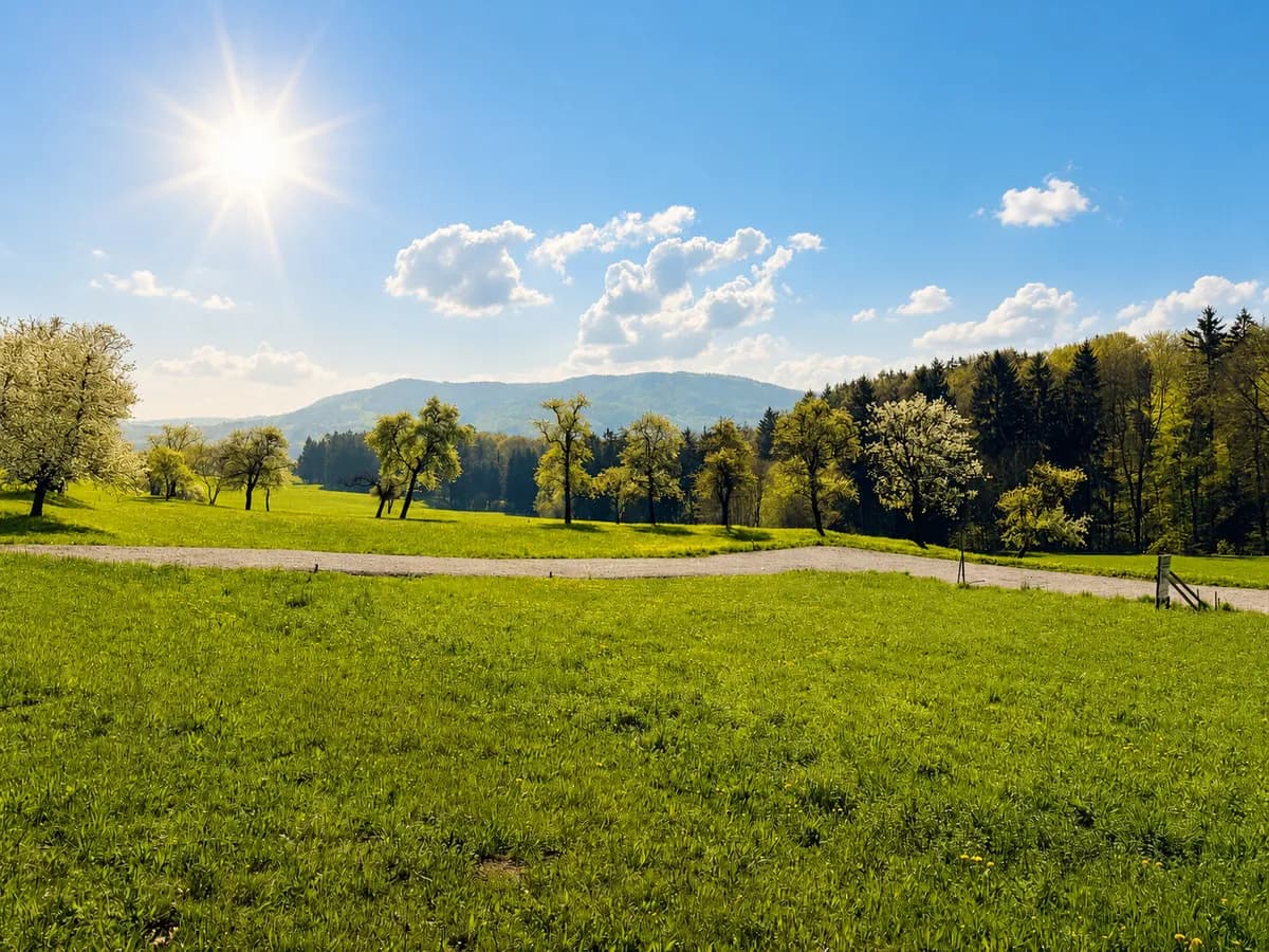 Grundstück kaufen in Steyr-Land – 648 m²