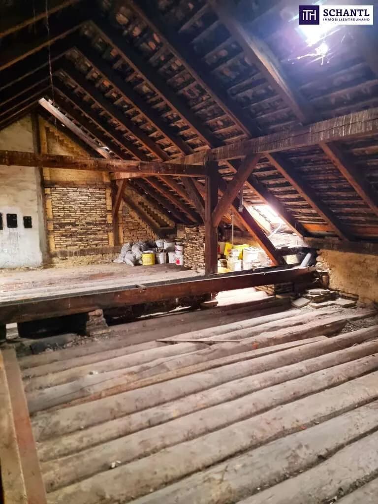 Gewerbeimmobilie kaufen in Wien – 346 m², € 669.000
