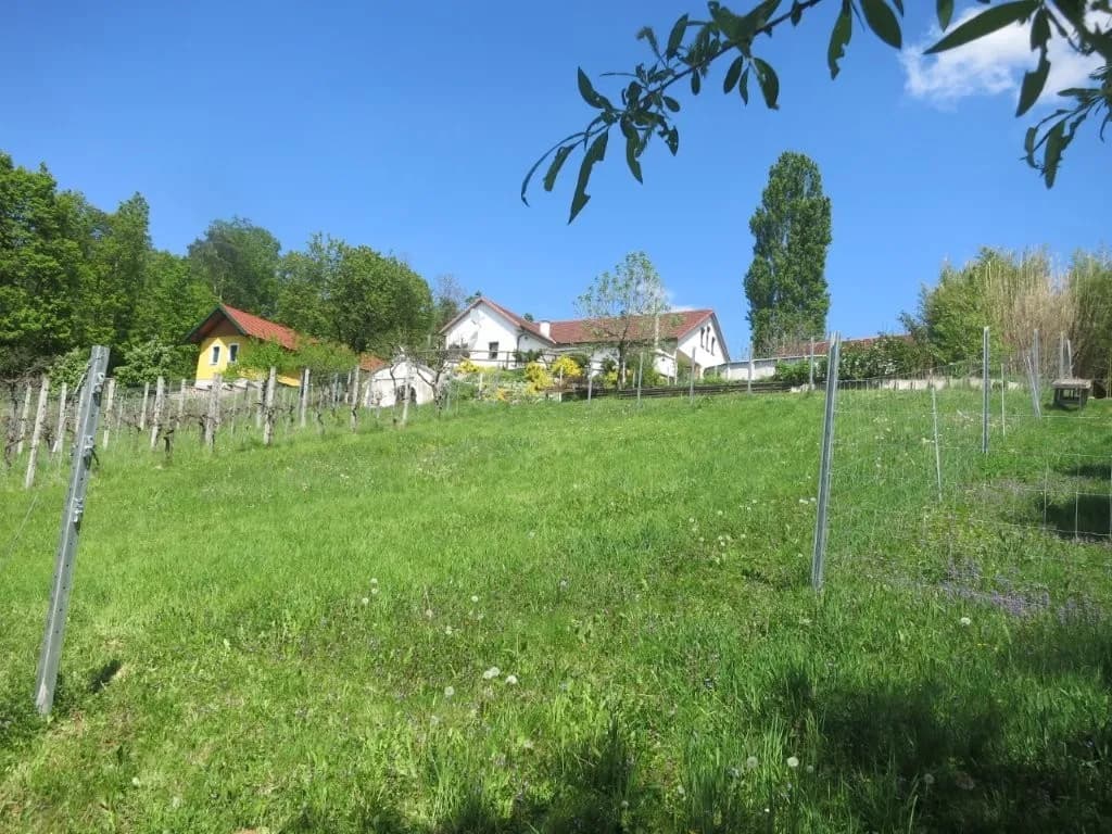 6-Zimmer-Haus kaufen in Güssing – 160 m², € 459.000 – Bild 63 von 67