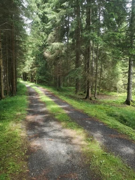 6-Zimmer-Haus kaufen in Güssing – 160 m², € 459.000 – Bild 65 von 67