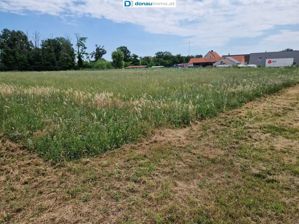 Grundstück kaufen in Wiener Neustadt Land – 5 821 m², € 1.920.000