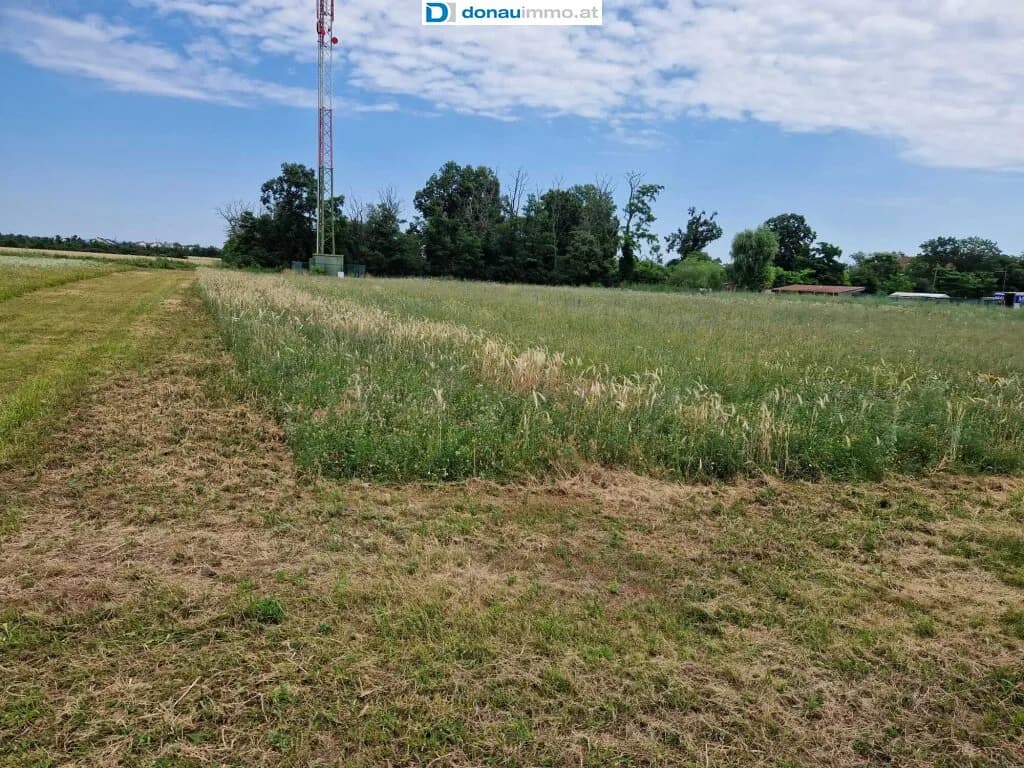 Grundstück kaufen in Wiener Neustadt Land – 5 821 m², € 1.920.000 – Bild 4 von 15