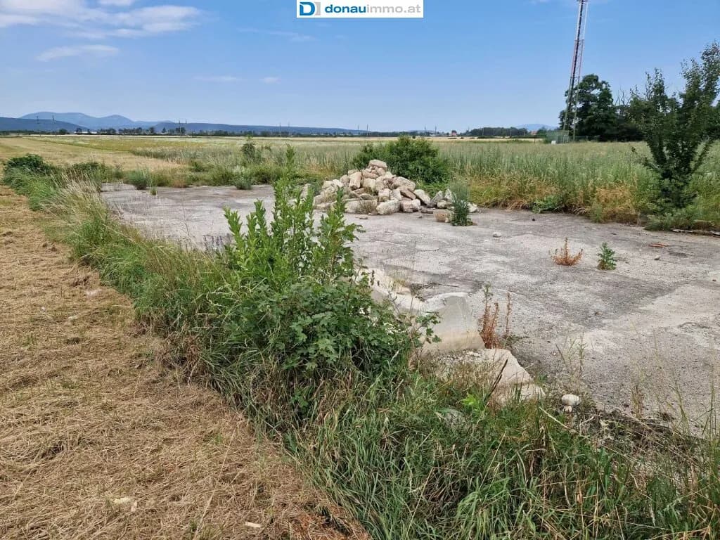 Grundstück kaufen in Wiener Neustadt Land – 5 821 m², € 1.920.000 – Bild 5 von 15
