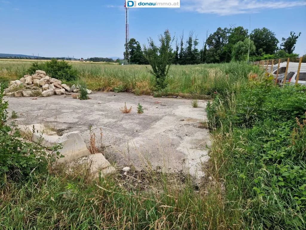 Grundstück kaufen in Wiener Neustadt Land – 5 821 m², € 1.920.000 – Bild 6 von 15