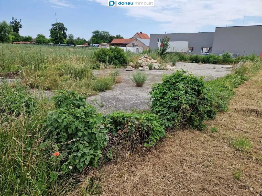 Grundstück kaufen in Wiener Neustadt Land – 5 821 m², € 1.920.000 – Bild 7 von 15