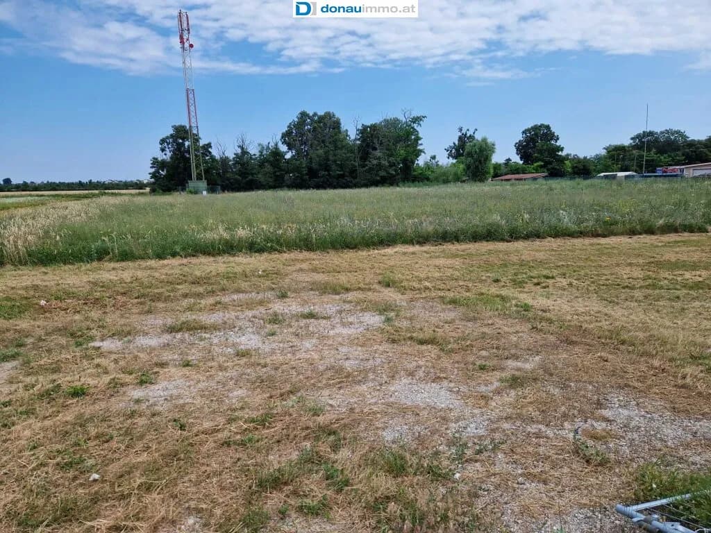 Grundstück kaufen in Wiener Neustadt Land – 5 821 m², € 1.920.000 – Bild 8 von 15