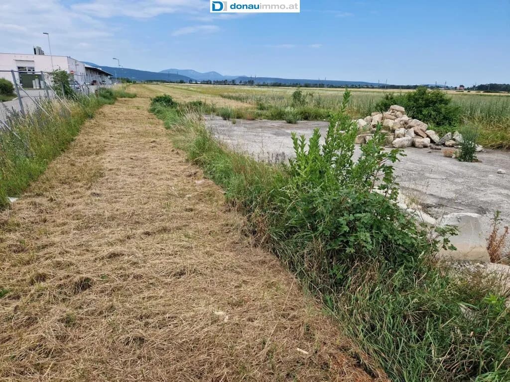 Grundstück kaufen in Wiener Neustadt Land – 5 821 m², € 1.920.000 – Bild 9 von 15