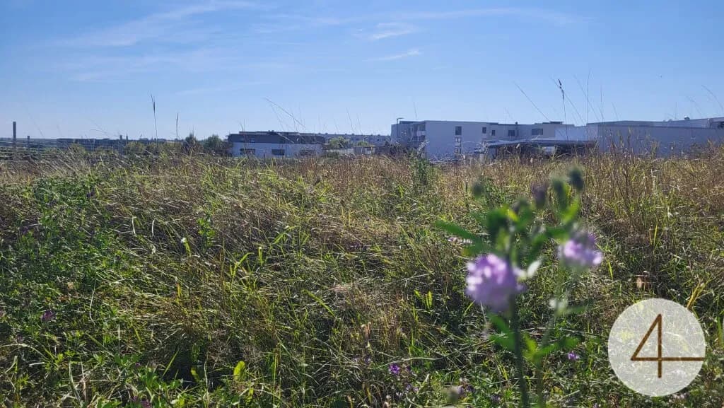 Grundstück kaufen in Krems Land – 864 m², € 390.000 – Bild 5 von 5