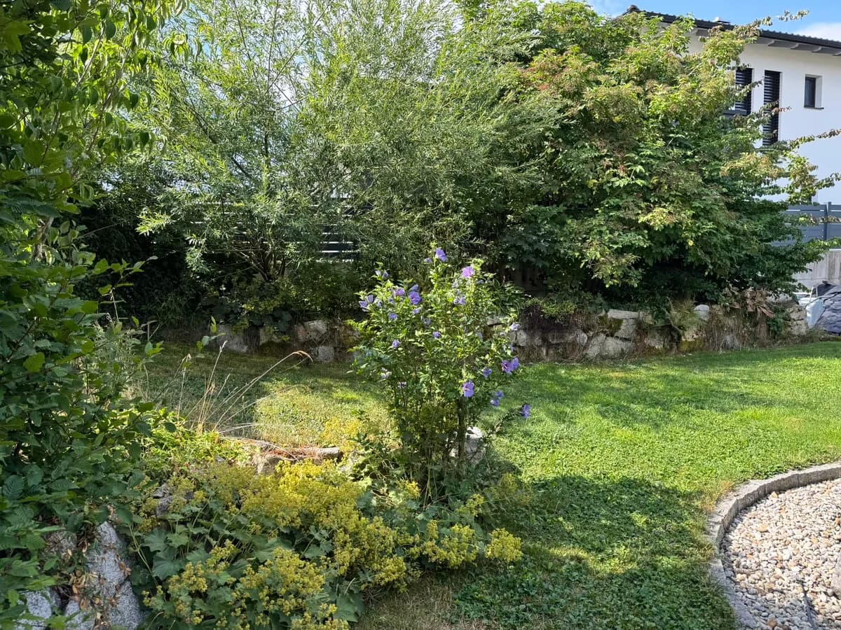6-Zimmer-Haus kaufen in Rohrbach – 236 m², € 920.000 – Bild 29 von 29