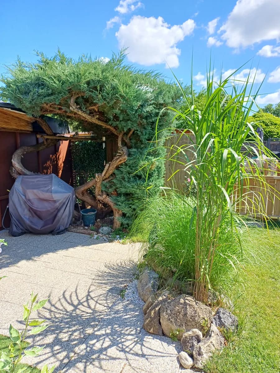 Immobilie kaufen in Neusiedl am See – 120 m², € 16.900 – Bild 5 von 22