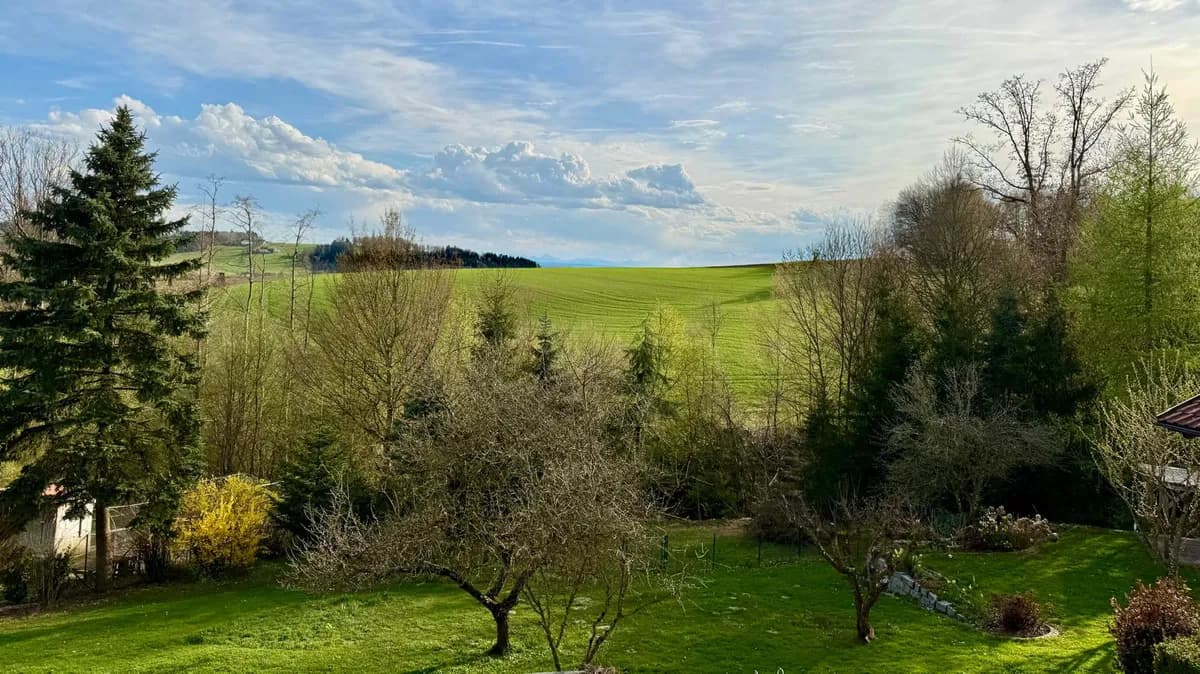 11-Zimmer-Haus kaufen in Schärding – 474 m², € 1.595.000 – Bild 2 von 14