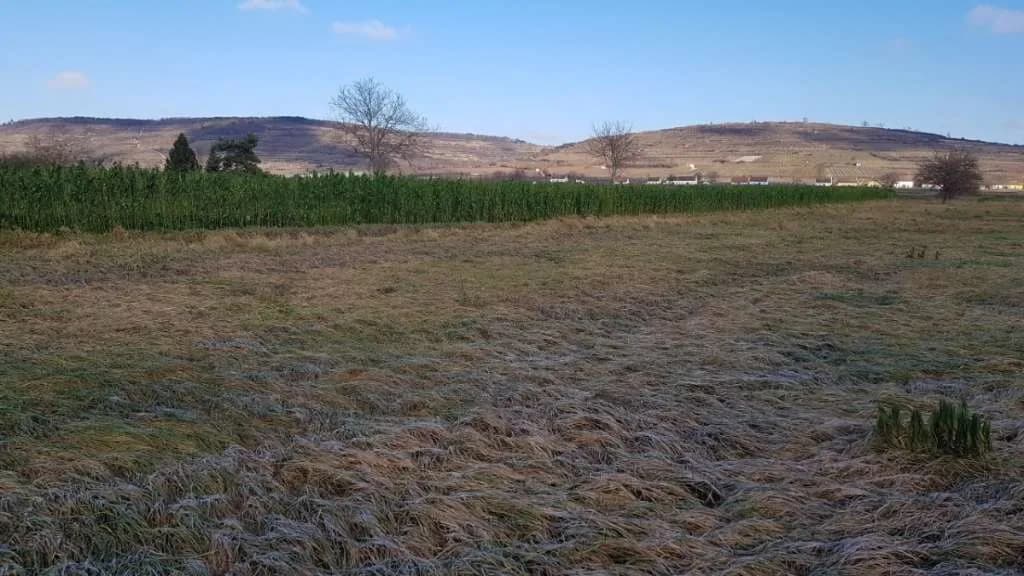 Grundstück kaufen in Krems Land – 2 338 m², € 149.000