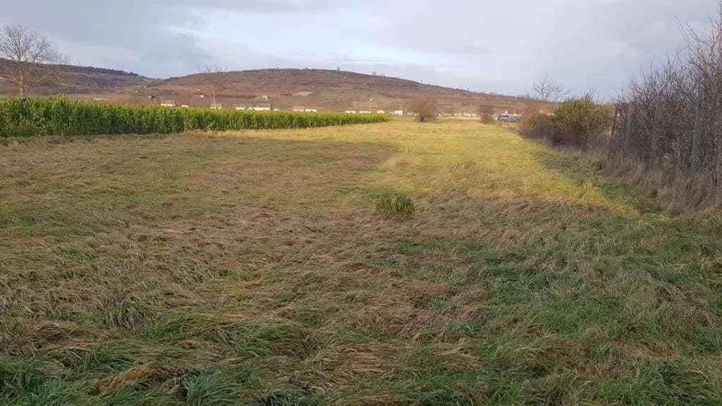 Grundstück kaufen in Krems Land – 2 338 m², € 149.000 – Bild 2 von 3