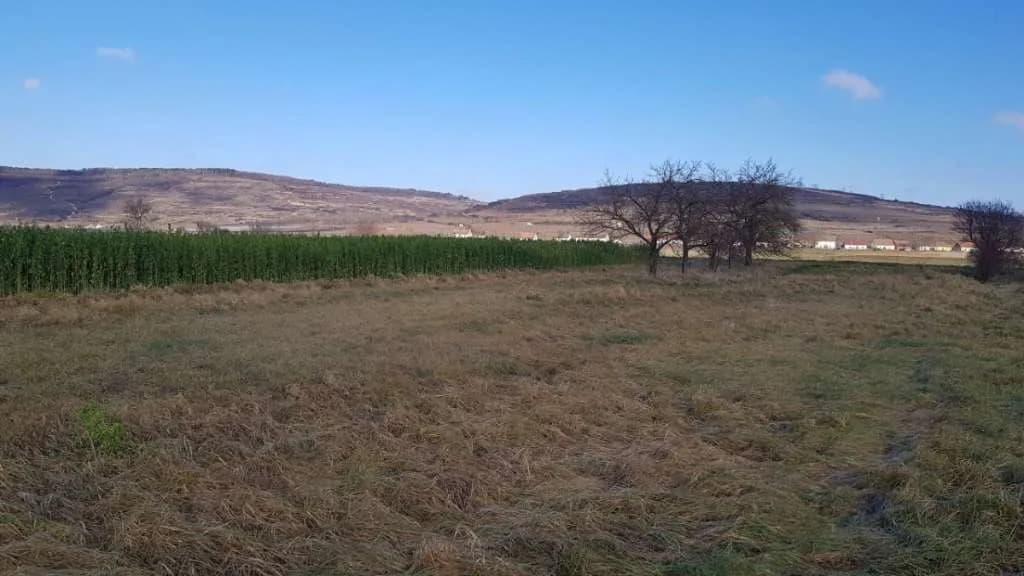 Grundstück kaufen in Krems Land – 2 338 m², € 149.000 – Bild 3 von 3