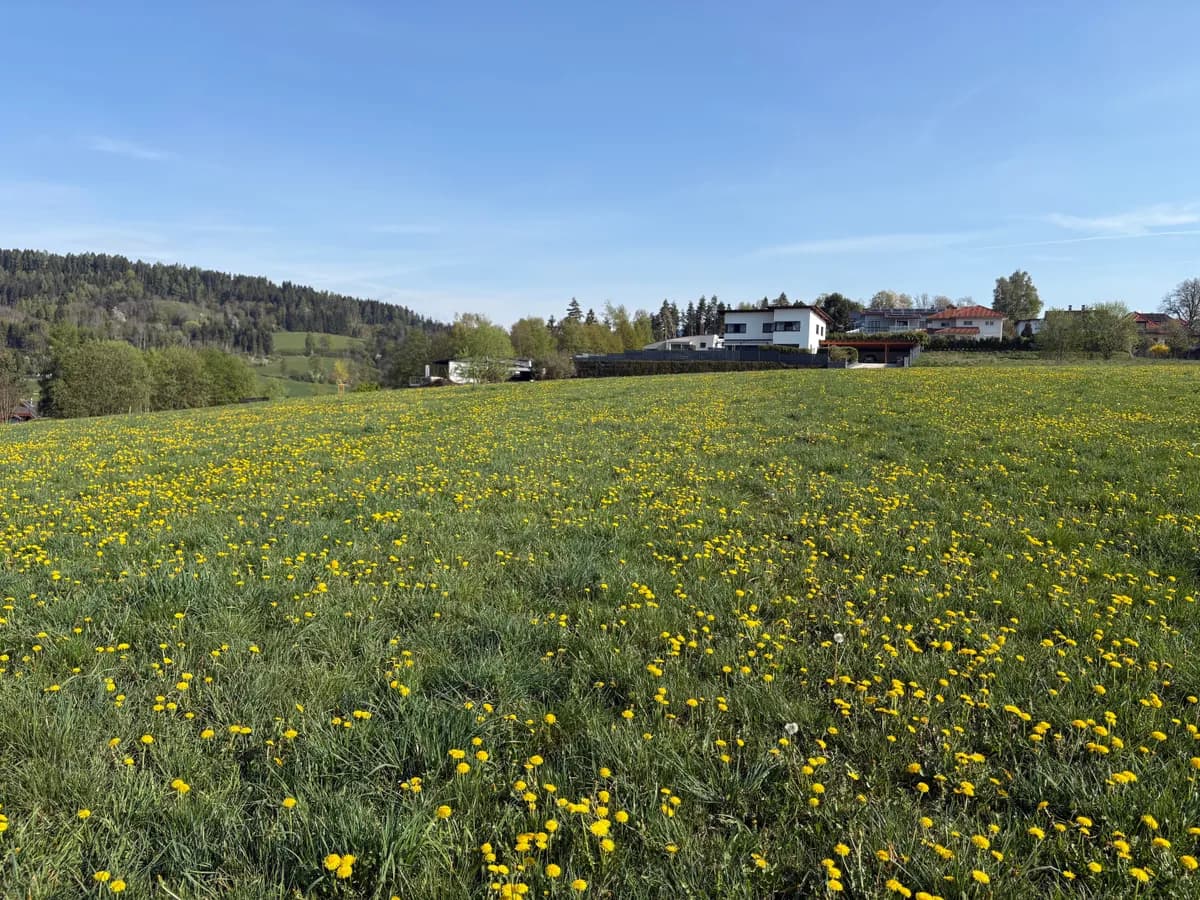 Grundstück kaufen in Feldkirchen – 944 m², € 210.000