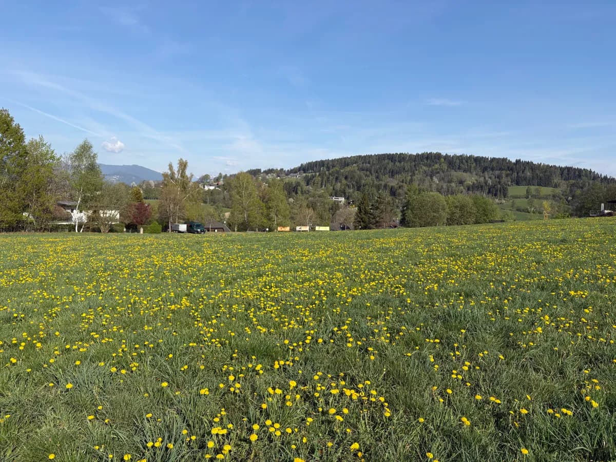 Grundstück kaufen in Feldkirchen – 944 m², € 210.000 – Bild 2 von 6