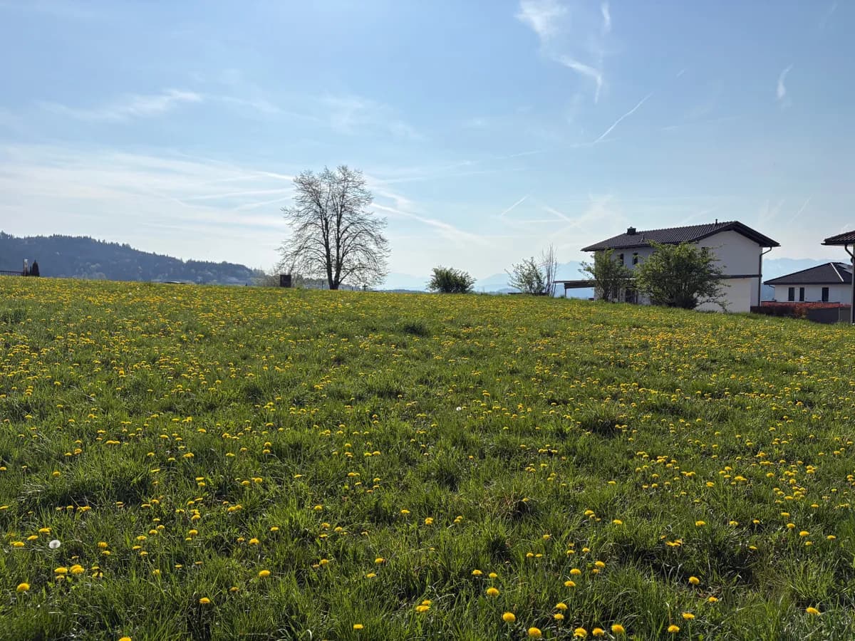 Grundstück kaufen in Feldkirchen – 944 m², € 210.000 – Bild 3 von 6