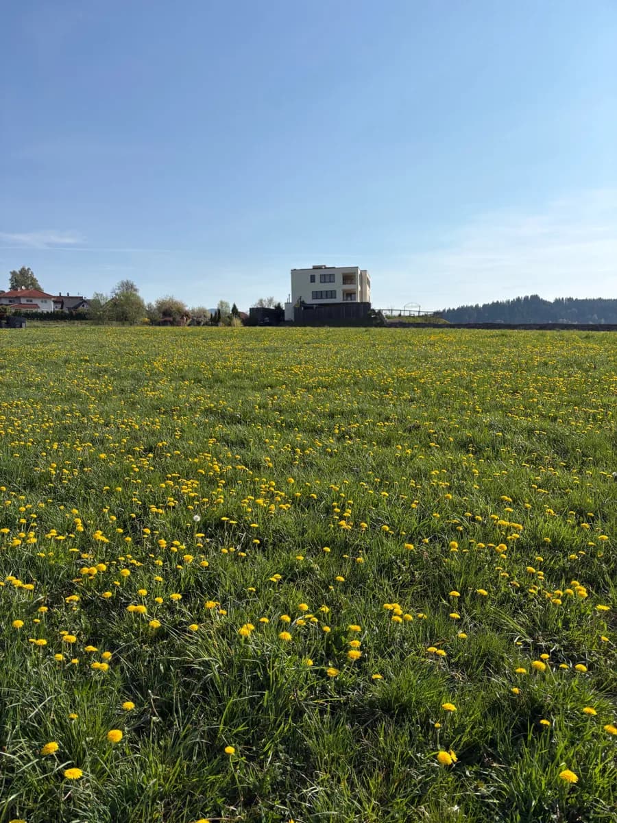 Grundstück kaufen in Feldkirchen – 944 m², € 210.000 – Bild 4 von 6