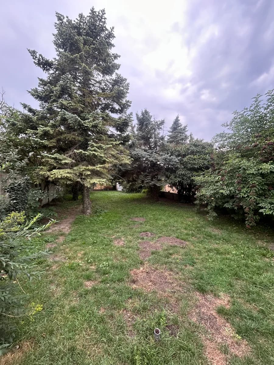3-Zimmer-Haus mieten in Gänserndorf – 130 m², € 995 – Bild 8 von 8