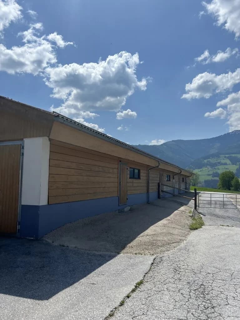Haus kaufen in Liezen – 200 m², € 850.000 – Bild 3 von 5