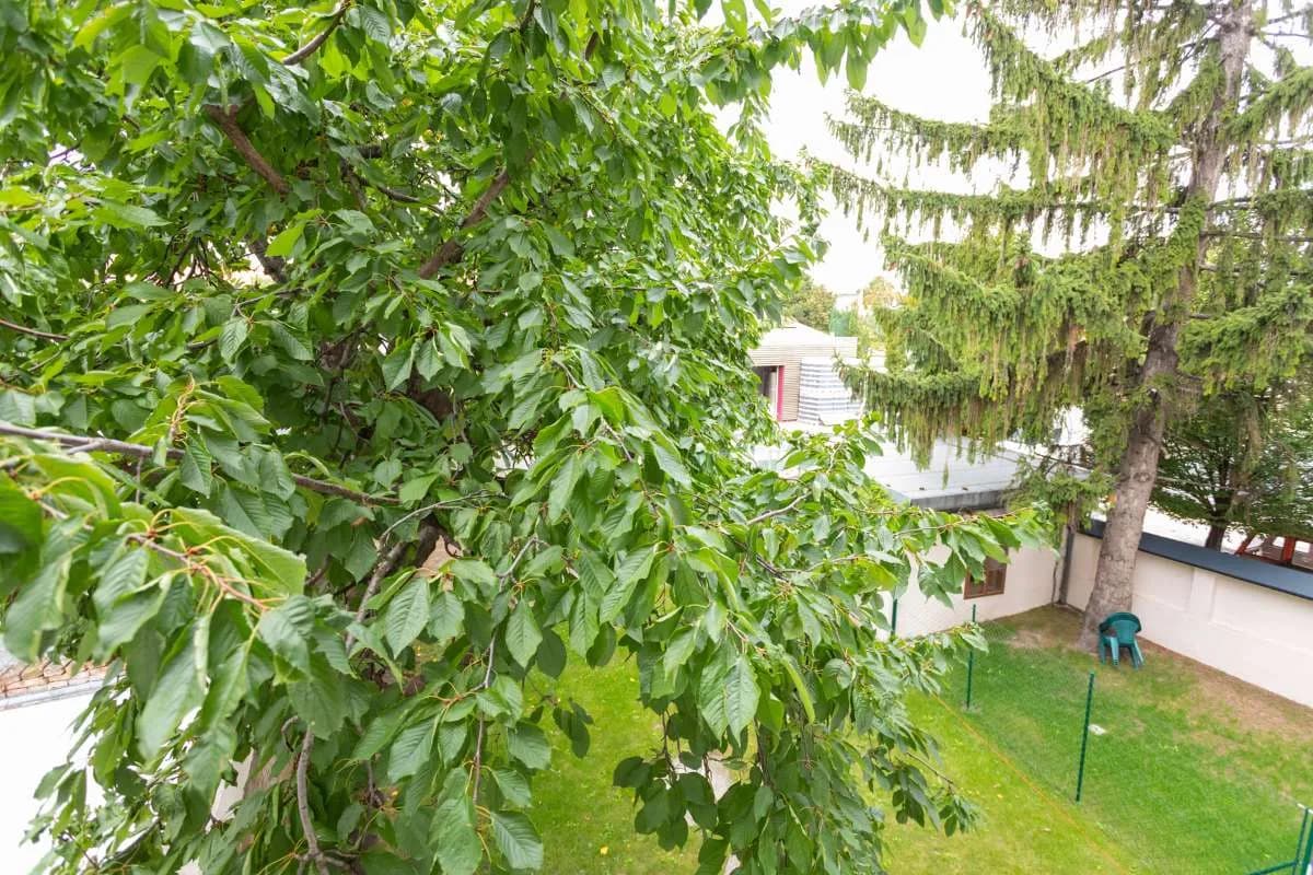 2-Zimmer-Wohnung mieten in Wien – 57 m², € 935 – Bild 21 von 23