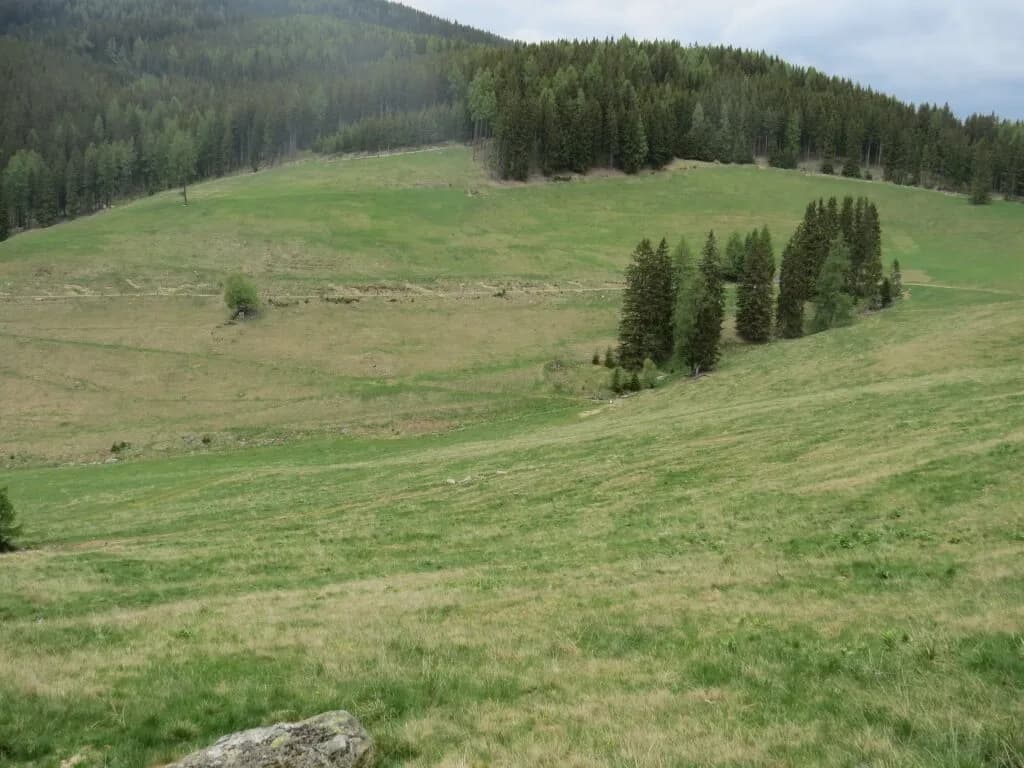 Immobilie kaufen in Murtal – 42 045 m²