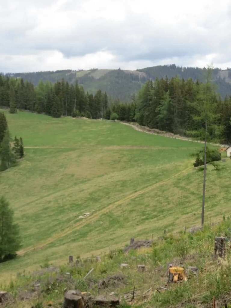 Immobilie kaufen in Murtal – 42 045 m² – Bild 2 von 7