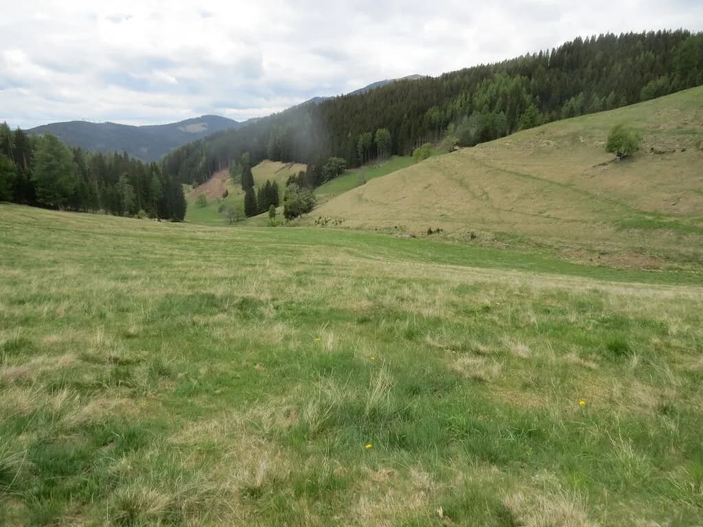 Immobilie kaufen in Murtal – 42 045 m² – Bild 5 von 7