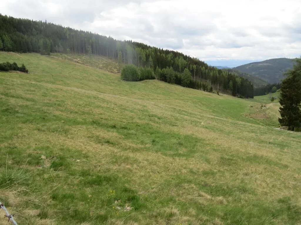 Immobilie kaufen in Murtal – 42 045 m² – Bild 6 von 7