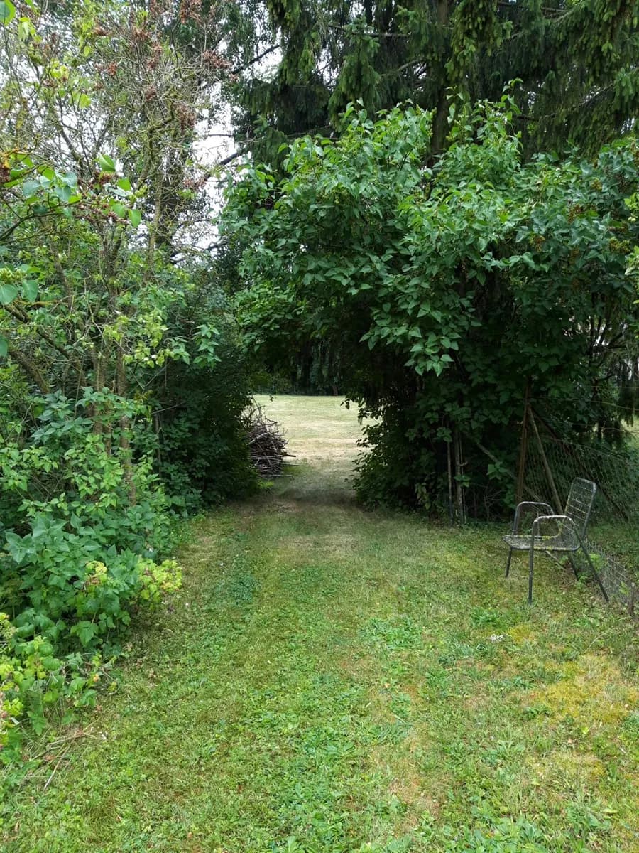 Immobilie kaufen in Horn – 2 576 m², € 85.000