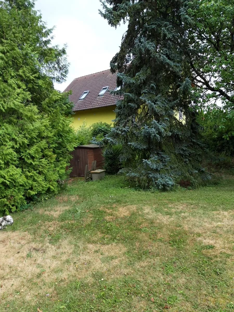 Immobilie kaufen in Horn – 2 576 m², € 85.000 – Bild 3 von 8