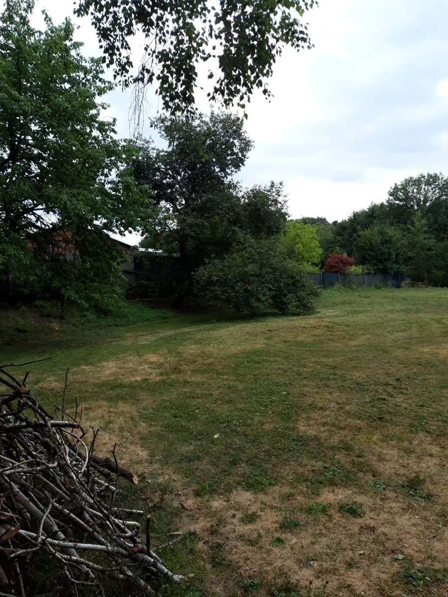 Immobilie kaufen in Horn – 2 576 m², € 85.000 – Bild 4 von 8