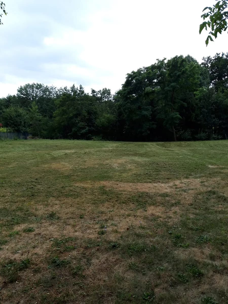 Immobilie kaufen in Horn – 2 576 m², € 85.000 – Bild 5 von 8