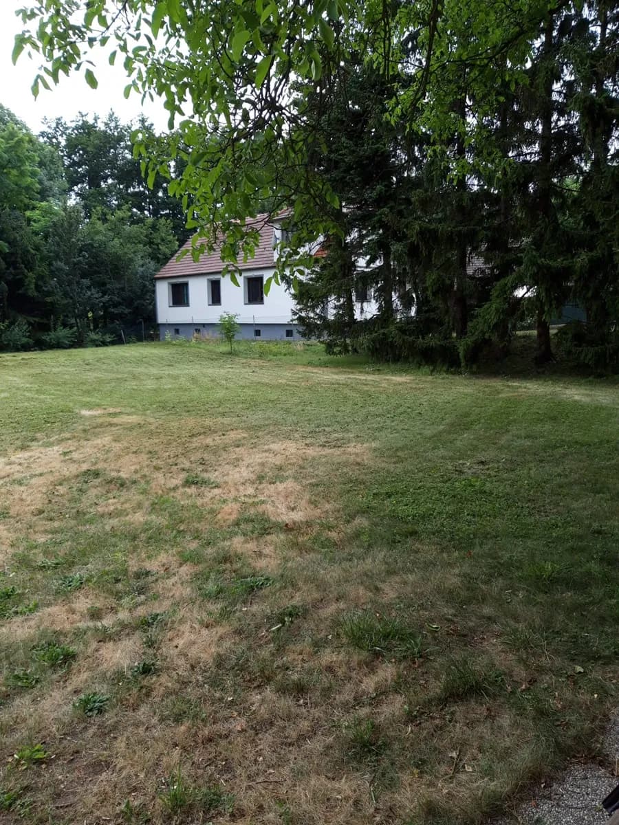 Immobilie kaufen in Horn – 2 576 m², € 85.000 – Bild 6 von 8