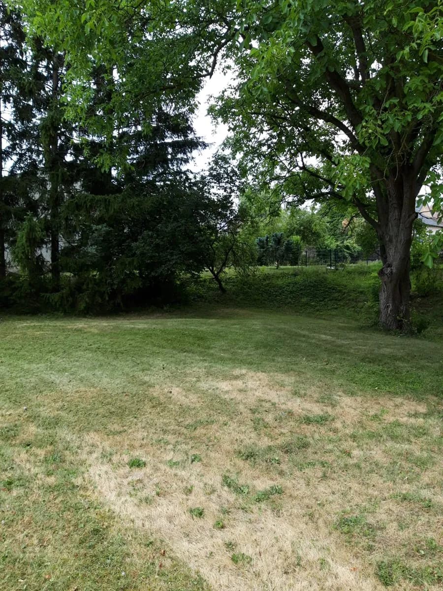 Immobilie kaufen in Horn – 2 576 m², € 85.000 – Bild 7 von 8