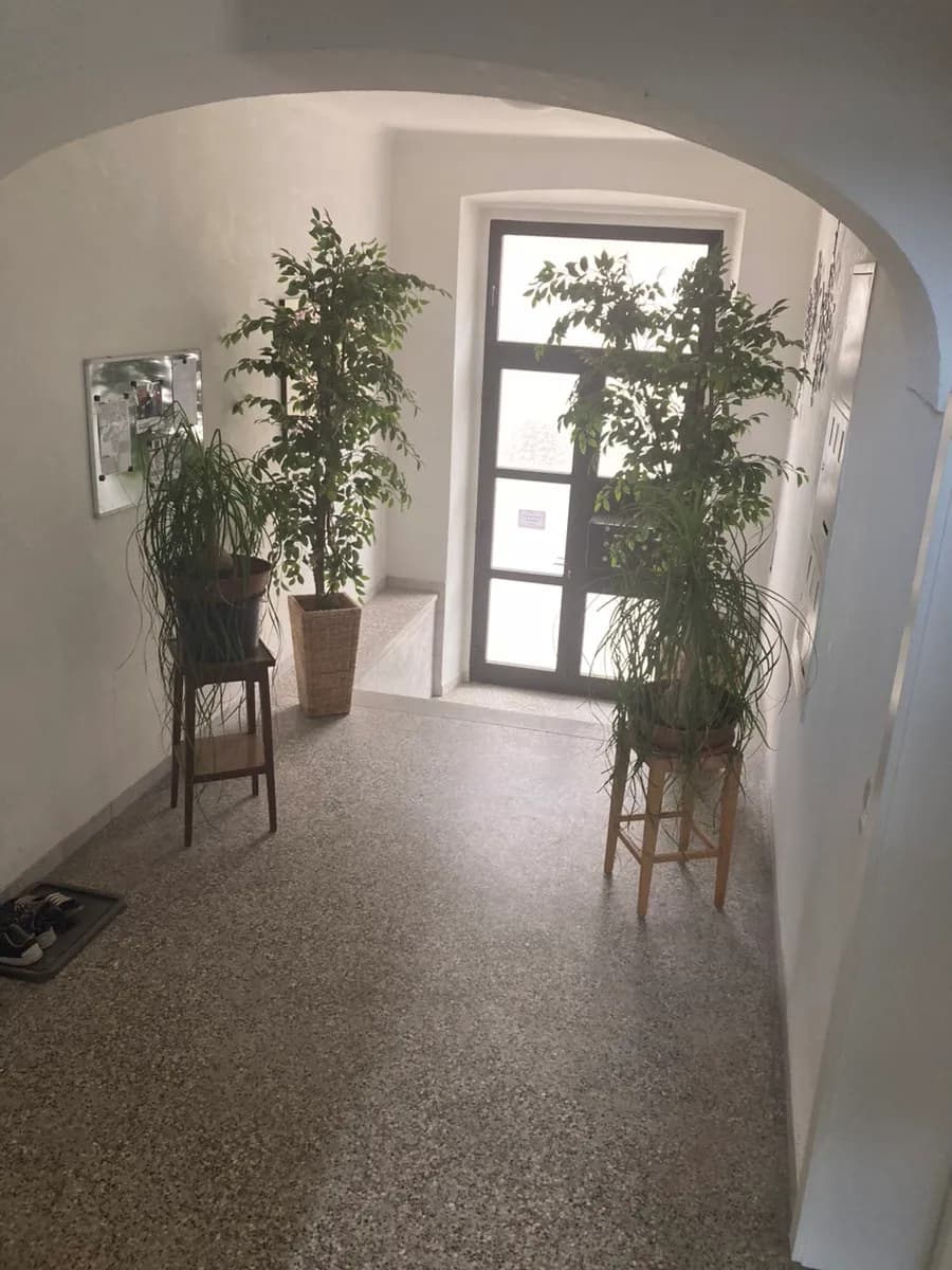 2-Zimmer-Wohnung mieten in Murtal – 61 m², € 490 – Bild 10 von 13